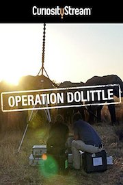 Operation Dolittle