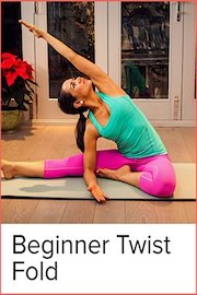 Beginner Twists and Forward Folds