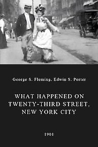 What Happened on Twenty-Third Street, New York City