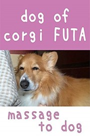 dog of corgi FUTA - massage to dog