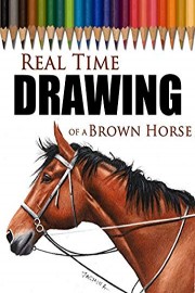 Real Time Drawing of a Brown Horse