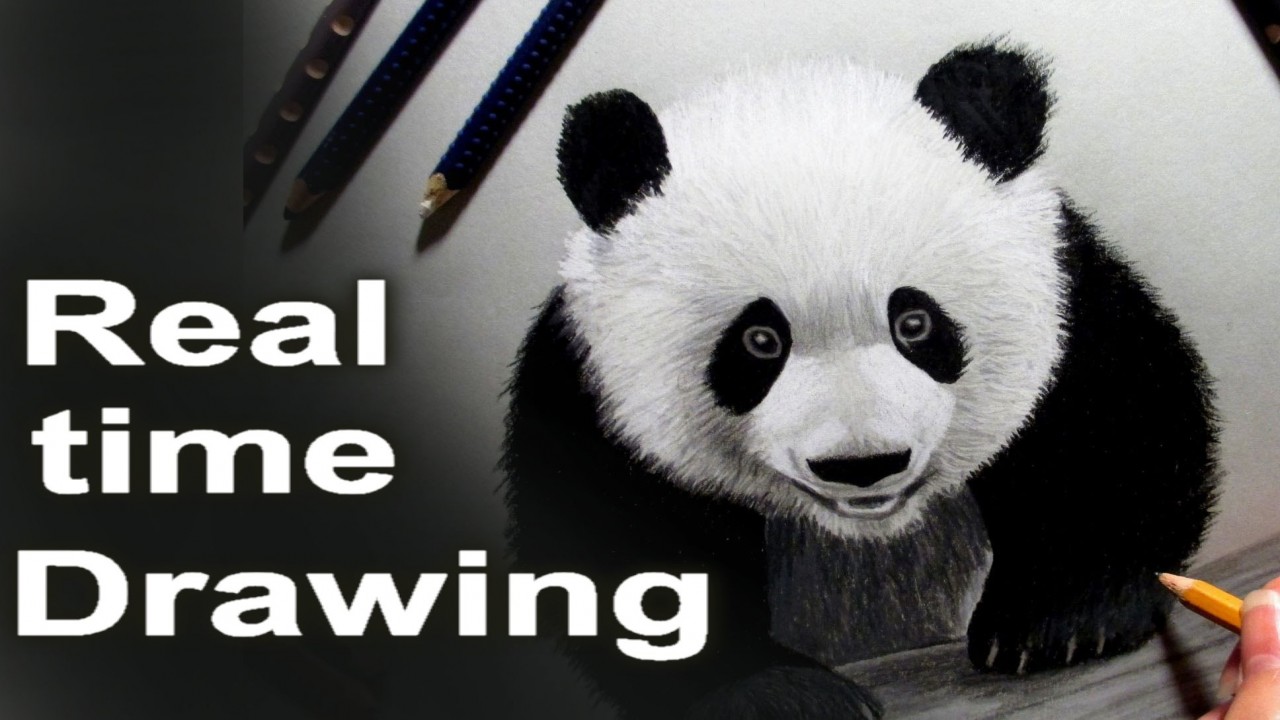Real Time Drawing of a Panda