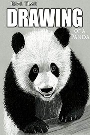 Real Time Drawing of a Panda