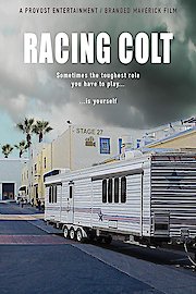 Racing Colt
