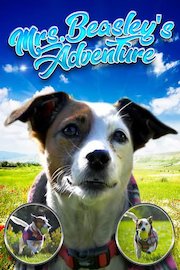 Mrs Beasley Adventure