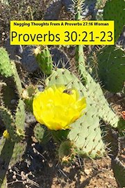 Nagging Thoughts: Proverbs 30:21-23