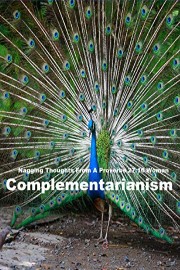 Nagging Thoughts: Complementarian