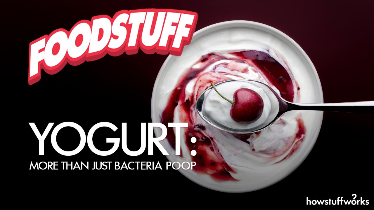 Yogurt: More Than Just Bacteria Poop