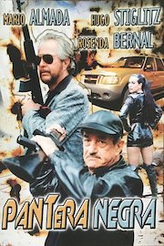 Pantera Negra