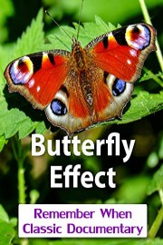 Butterfly Effect