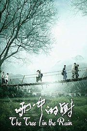 The Tree in the Rain