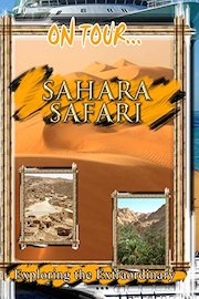 On Tour. Sahara Safari