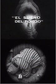 El Sueno del Pongo