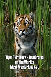 Tiger Territory - DocuDrama on the Worlds Most Mysterious Cat