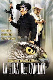 La Fuga Del Gavilan