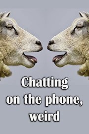 Chatting on the phone, weird.