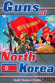 Guns of North Korea
