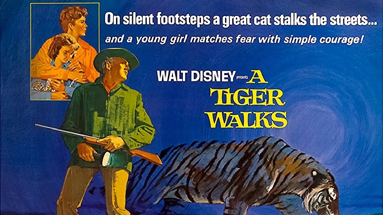 A Tiger Walks