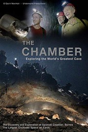 The Chamber