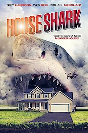 House Shark