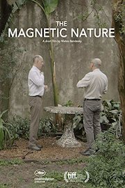 The Magnetic Nature
