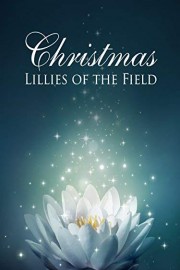 Christmas Lillies in the field