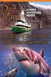 Dive Travel - Great White Sharks Isla de Guadalupe, Mexico