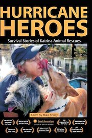 Hurricane Heroes - Survival Stories of Hurricane Katrina Animal Rescues