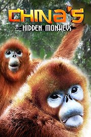 China's Hidden Monkeys
