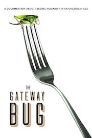 Gateway Bug, The