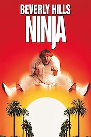 Beverly Hills Ninja