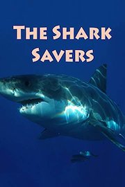 The Shark Savers