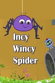 Incy Wincy Spider