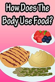 How Does The Body Use Food?