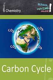 Carbon Cycle - School Movie on Chemistry