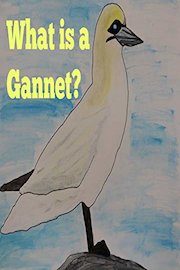 What is a Gannet?