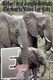 Safari and Jungle Animals - Elephants Video For Kids
