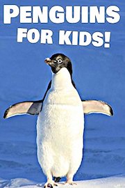 Penguins for Kids!