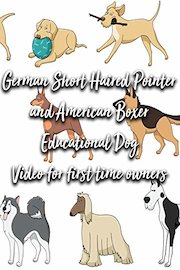 German Shot Haired Pointer and American Boxer Educational Dog Video for first time owners