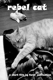 Rebel Cat