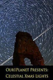 Our1Planet Presents: Celestial Xmas Lights