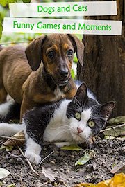 Dogs and Cats - Funny Games and Funny Moments
