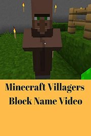 Minecraft Villagers Block Name Video