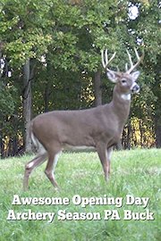 Awesome Opening Day Archery Season PA Buck