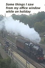 Some things I saw from my office window while on holiday