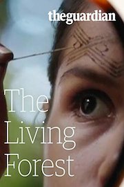 The Living Forest