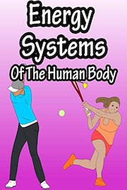 Energy Systems Of The Human Body