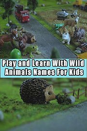 Play and Learn With Wild Animals Names For Kids