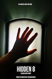 Hidden 8