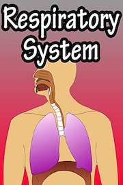 Respiratory System